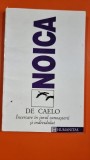 DE CAELO - INCERCARE IN JURUL CUNOASTERII SI INDIVIDULUI - CONSTANTIN NOICA