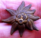 I.288 TURISM MONTAN Deutsche und &Ouml;sterreichische Alpenverein D&Ouml;AV FLOARE DE COLT