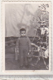 Bnk foto - Copil cu jucarie langa bradul de Craciun, Alb-Negru, Romania de la 1950, Portrete