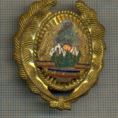 Y 1573 INSIGNA-MILITARA-EMBLEMA COIFURA- SUBOFITER -RSR -PENTRU COLECTIONARI