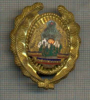 Y 1573 INSIGNA-MILITARA-EMBLEMA COIFURA- SUBOFITER -RSR -PENTRU COLECTIONARI foto