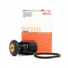 Termostat Behr Seat Leon 1M1 1999-2006 TX 41 87D