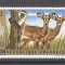 Rwanda 1972 Animals, MNH AE.101