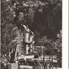 CPIB 17462 CARTE POSTALA - SLANIC MOLDOVA. CASA DE ODIHNA, RPR