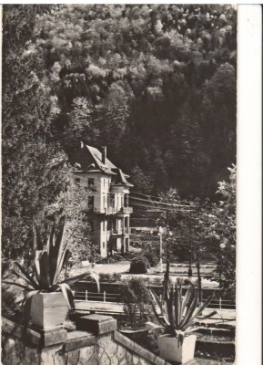 CPIB 17462 CARTE POSTALA - SLANIC MOLDOVA. CASA DE ODIHNA, RPR foto
