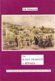 Gh. Nistorescu - Din Plaiul Prahovei la Sinaia. Istorie si contemporaneitate