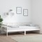 vidaXL Pat de zi, alb, 90x200 cm, lemn masiv de pin