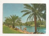 FA144 -Carte Postala - ISRAEL - Gan Hashelosha the Sakhna, circulata 1966