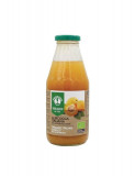 Nectar de Caise fara Zahar Bio Probios 500ml