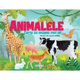 Carte cu imagini pop-up, Animalele, Girasol