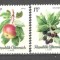 Austria.1966 Fructe MA.710