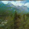CPI B13949 CARTE POSTALA - SINAIA. VEDERE SPRE MUNTII BUCEGI