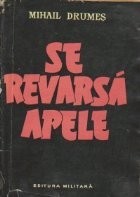 Se revarsa apele foto