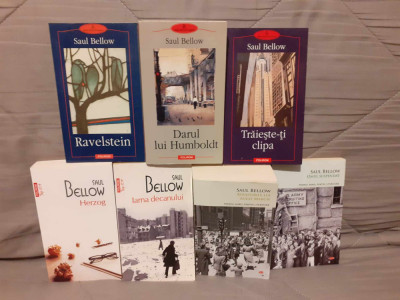 IARNA DECANULUI/HERZOG/RAVELSTEIN/DARUL LUI HUMBOLDT/TRAIESTE CLIPA-SAUL BELLOW foto