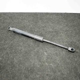 Amortizor haion st&acirc;nga TESLA MODEL 3 2019 OEM: 1091560-00-B,300455-0580N 11250617