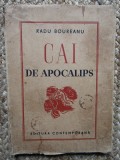 CAI DE APOCALIPS -RADU BOUREANU