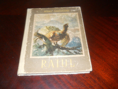 RAIUL - MIHAIL SADOVEANU,ilustratii ST. CONSTANTINESCU ,1955 Ed. I a , cartonata foto