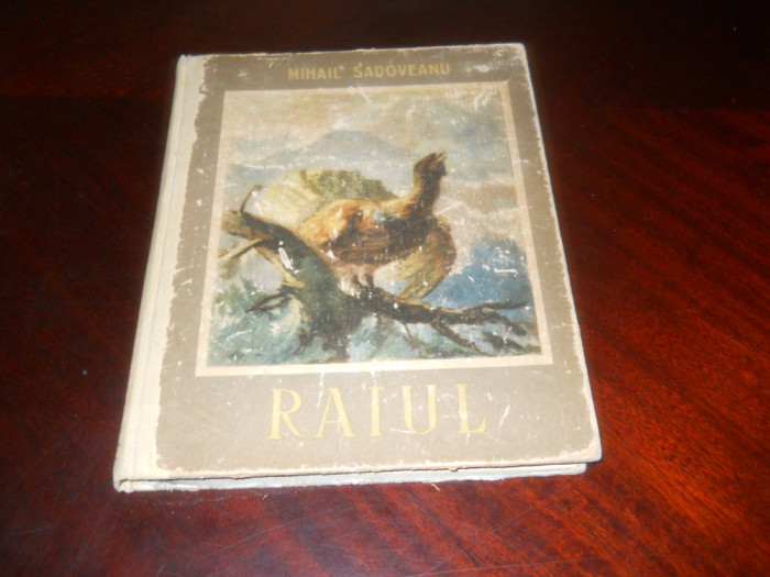 RAIUL - MIHAIL SADOVEANU,ilustratii ST. CONSTANTINESCU ,1955 Ed. I a , cartonata