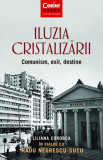 Cumpara ieftin Iluzia cristalizarii | Liliana Corobca, Corint