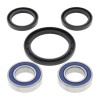 Kit Rulmenti roata fata Triumph Trident Trophy Daytona Sprint Sppedmaster Thunderbird 1991-2009 All Balls 25-1584