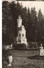 CPIB 22632 - CARTE POSTAL - VATRA DORNEI. VEDERE DIN PARC, Circulata, Fotografie