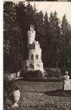 CPIB 22632 - CARTE POSTAL - VATRA DORNEI. VEDERE DIN PARC