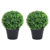 Gossi Plante Artificiale Cimisir cu Ghiveci, 2 buc, Verde, 32 cm, Minge - Decor Interior/Exterior