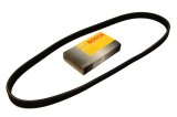 Curea transmisie cu caneluri VW CADDY III Caroserie (2KA, 2KH, 2CA, 2CH) (2004 - 2016) BOSCH 1 987 946 200