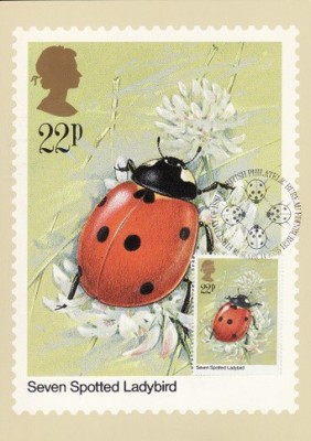 C3644 - Anglia 1985 - CM foto