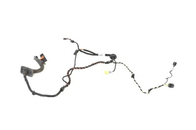 Cablaj ușă st&amp;acirc;nga față VW PASSAT CC 357 2010 OEM: 3C897112 13139049 foto