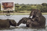 C2589 - Uganda 1983 - fauna carte maxima