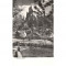 Carte Postala Castelul Bran