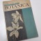 BOTANICA - N. Salageanu, Tr. Tretiu, M. Baldovin, an 1968