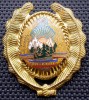 M.114 ROMANIA RSR ARMATA CUC CASCHETA INSIGNA MILITARA SUBOFITER MAISTRU MILITAR