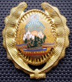 M.114 ROMANIA RSR ARMATA CUC CASCHETA INSIGNA MILITARA SUBOFITER MAISTRU MILITAR
