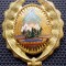 M.114 ROMANIA RSR ARMATA CUC CASCHETA INSIGNA MILITARA SUBOFITER MAISTRU MILITAR