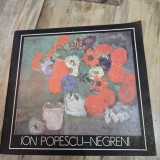 ALBUM PICTURA - DESEN - ION POPESCU NEGRENI