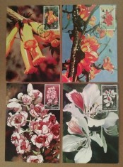 Thailanda 1999 - 4 piese maximum cartele - Seria completa