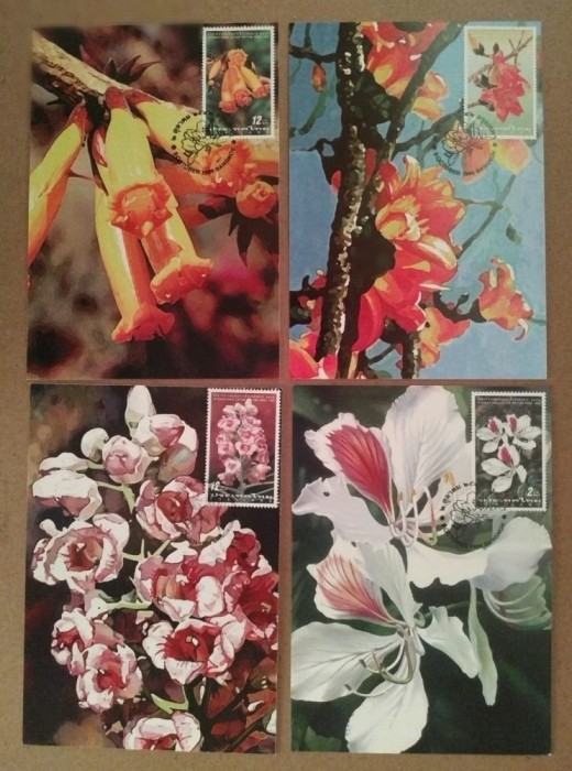 Thailanda 1999 - 4 piese maximum cartele - Seria completa