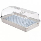 Set cu propagator pentru plante, 55 x 31 x 22 cm, 6020203