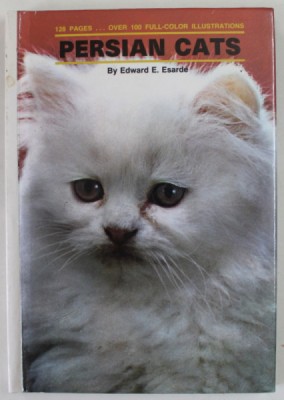 PERSIAN CATS by EDWARD E. ESARDE , 1988 foto