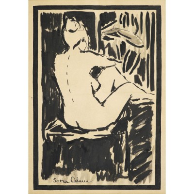 Sorin Adam, Nud foto