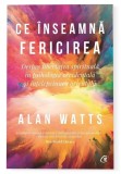 Cumpara ieftin Ce inseamna fericirea