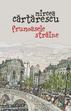 Frumoasele straine - Mircea Cartarescu - Humanitas