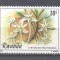 Rwanda 1981 Flowers, MNH AE.133