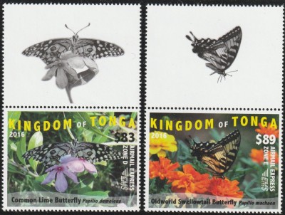 Tonga 2016 - Fauna , Insecte , Fluturi , serie 2 valori cu vignete , dantelate , MNH , Mi.2048-2049 foto