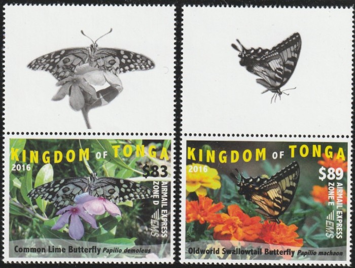 Tonga 2016 - Fauna , Insecte , Fluturi , serie 2 valori cu vignete , dantelate , MNH , Mi.2048-2049