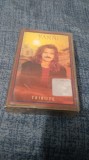 CASETA AUDIO YANNI -TRIBUTE RAR !!!