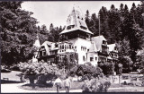 AMS - ILUSTRATA 915 SINAIA - CASA DE CREATIE PELISORUL, 1965, CIRCULATA, Printata