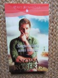 Singuratatea unui barbat - Nora Roberts